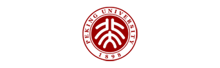 中國北京大學電子政務研究院LOGO